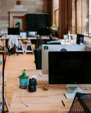 annie-spratt-wgivdx9dBdQ-unsplash